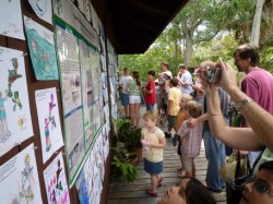 the display during Sea Turtle Day 2009